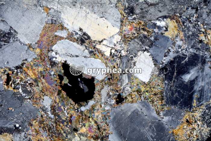 Métagabbro à Hornblende LPA x3,5 - gryphea.com